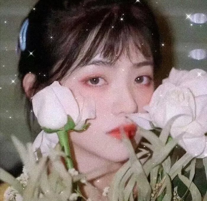 续韩国泪的小花